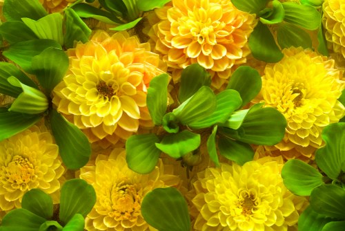 Team of florists creating arrangements at Flower Delivery Chelsea