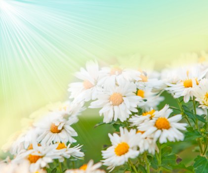 Flower delivery being prepared for dispatch