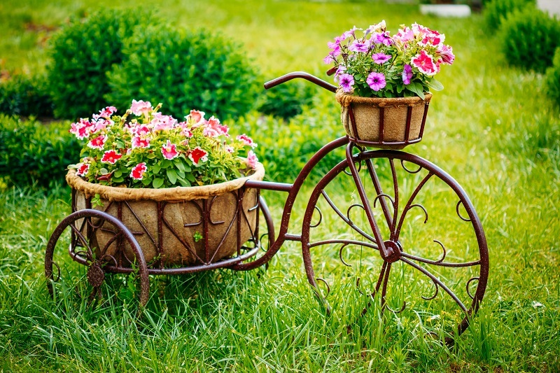 7 Surprising Truths About Tulips You've Likely Never Heard Before