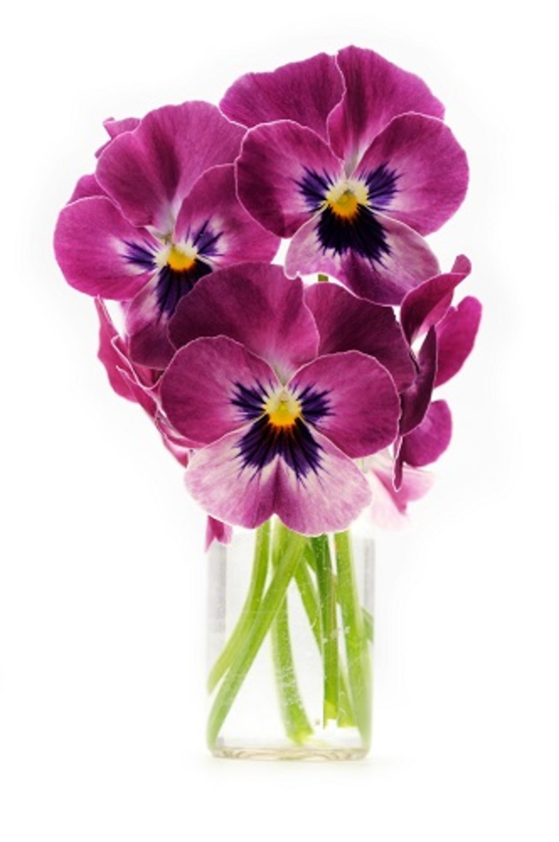 How Does Your Birth Flower Reflect Your Inner Qualities
