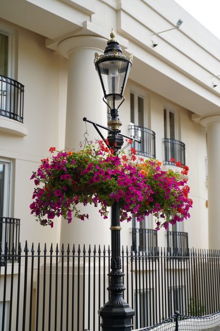 Kensington and Chelsea Council fines for flower displays